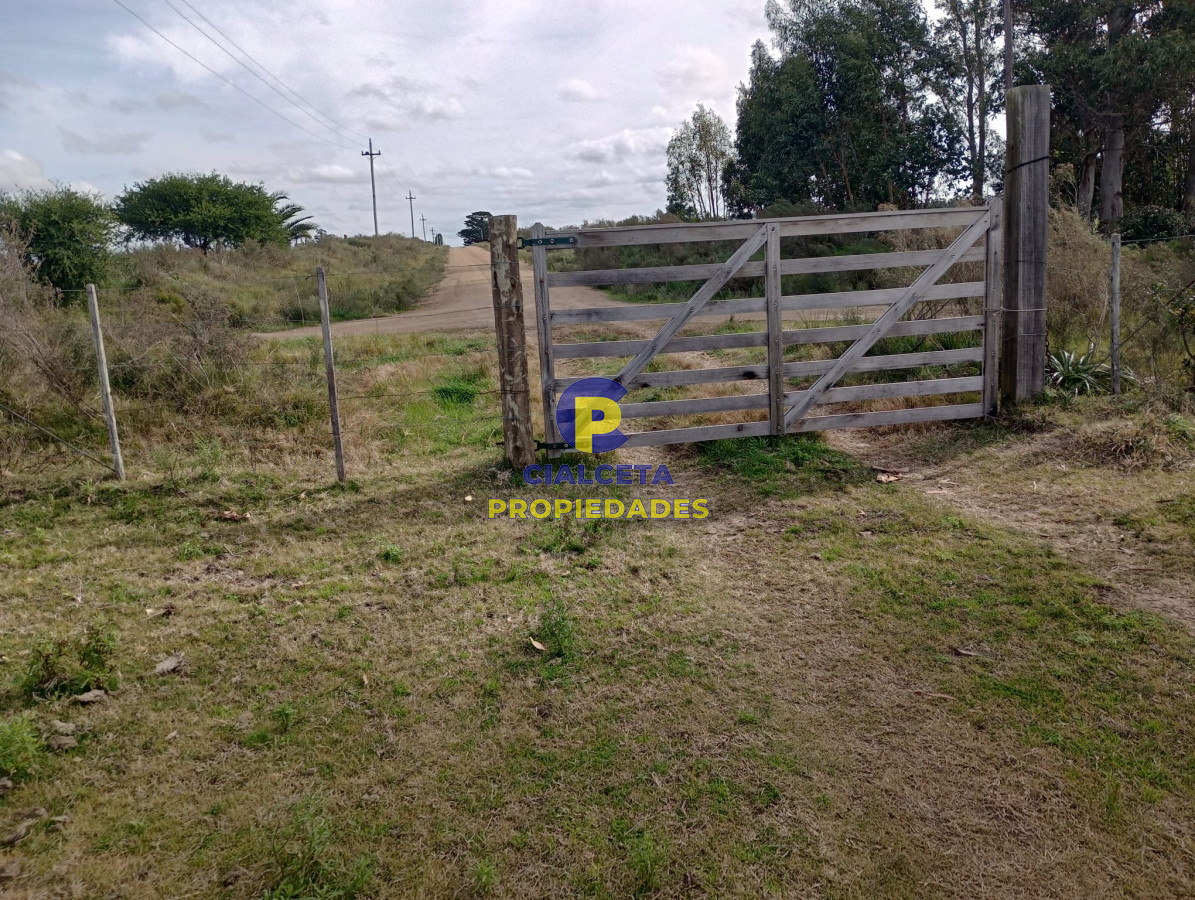 21 hectáreas con 8.366 metros en Canelones - GoPunta - Portal Inmobiliario de Punta del Este - Maldonado