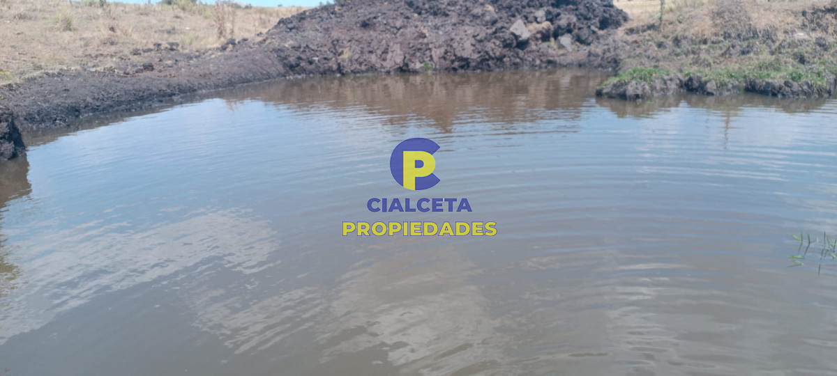 180 hectáreas en Lavalleja - GoPunta - Portal Inmobiliario de Punta del Este - Maldonado