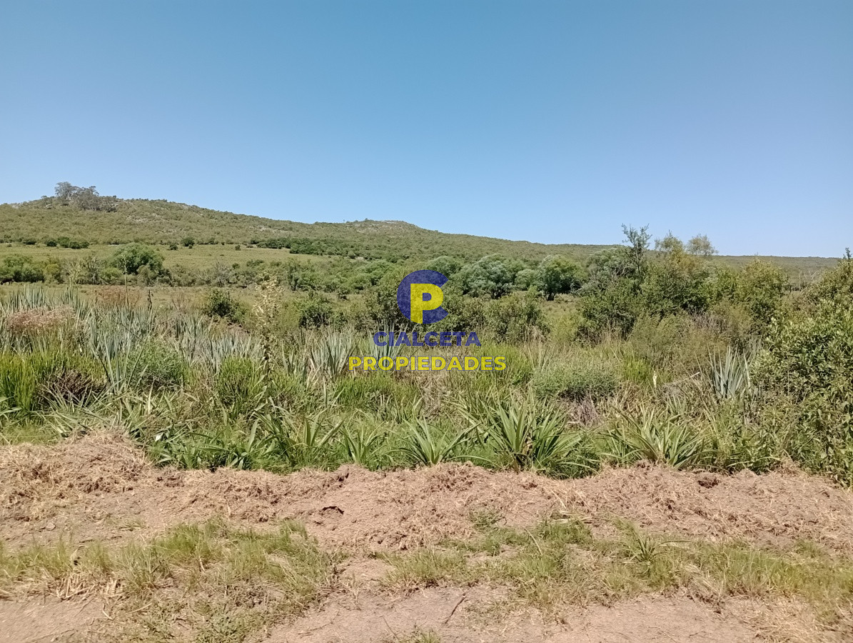 419 hectáreas en Rocha - GoPunta - Portal Inmobiliario de Punta del Este - Maldonado