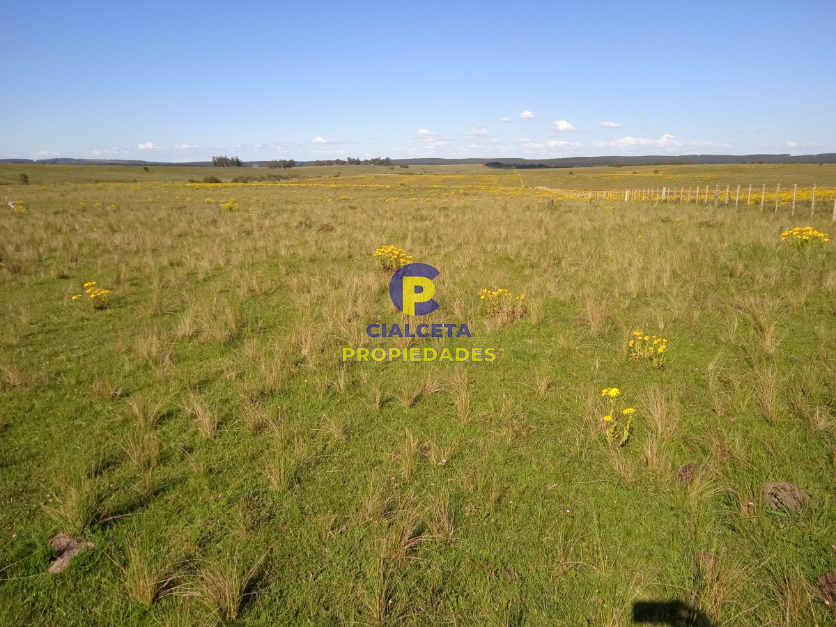 202 hectáreas, campo bueno, natural - GoPunta - Portal Inmobiliario de Punta del Este - Maldonado