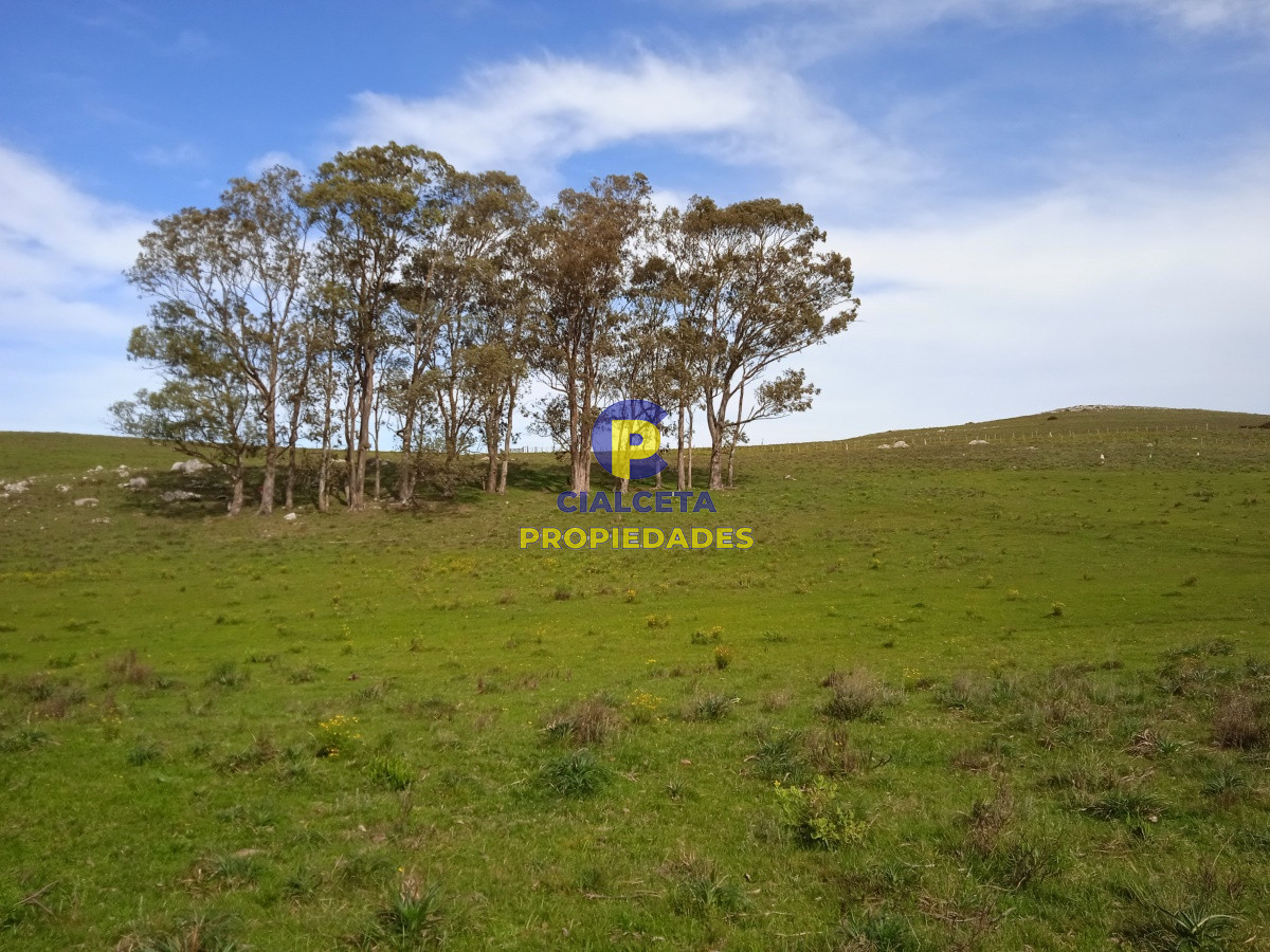 79 hectáreas en Lavalleja, ideal fraccionamiento - GoPunta - Portal Inmobiliario de Punta del Este - Maldonado