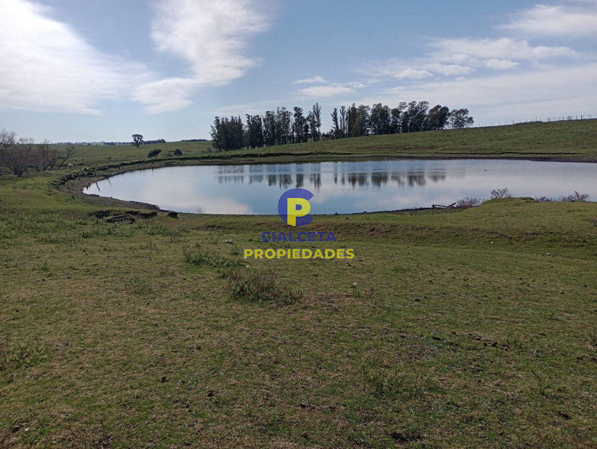 22 hectáreas en lavalleja - GoPunta - Portal Inmobiliario de Punta del Este - Maldonado
