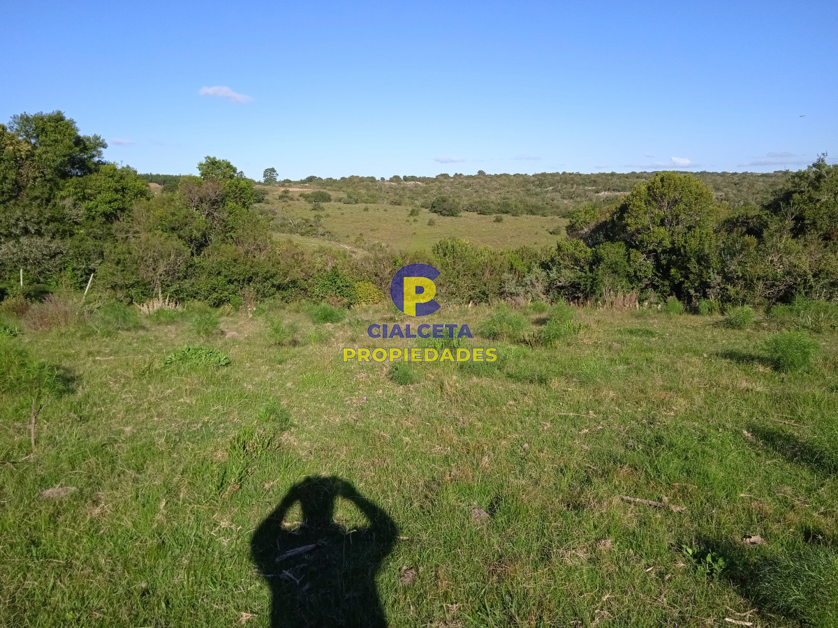 155 hectáreas con casa, instalaciones - GoPunta - Portal Inmobiliario de Punta del Este - Maldonado