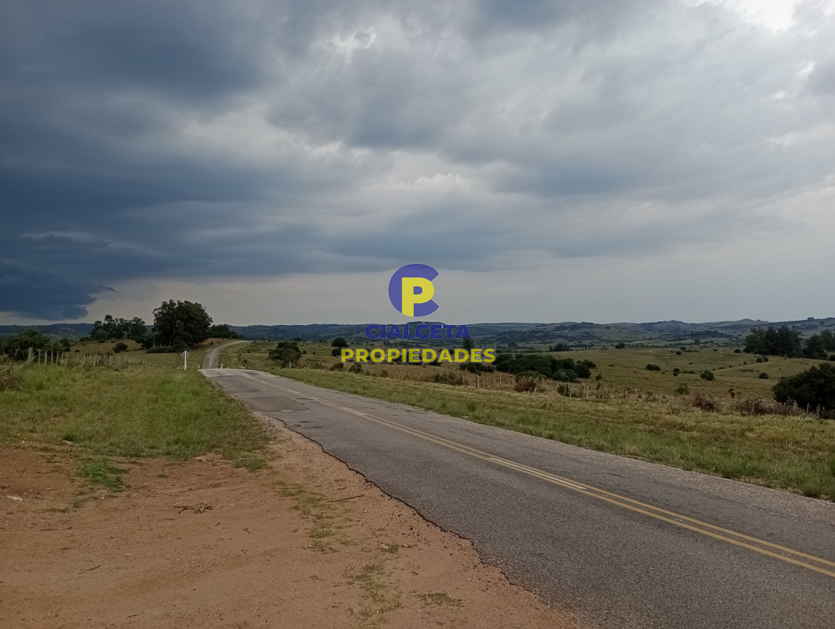 Chacras de 5 hectáreas - GoPunta - Portal Inmobiliario de Punta del Este - Maldonado