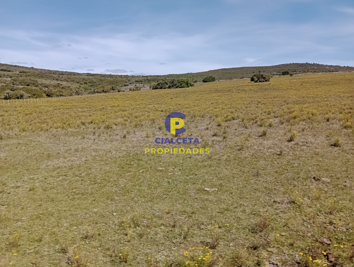 5 hectáreas en Pueblo Edén - GoPunta - Portal Inmobiliario de Punta del Este - Maldonado