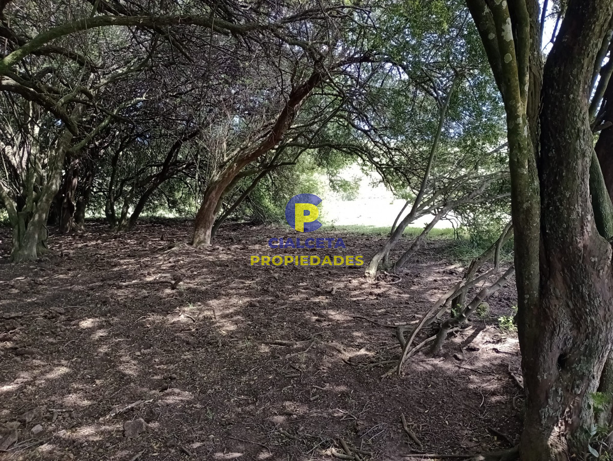 32 hectáreas en Maldonado - GoPunta - Portal Inmobiliario de Punta del Este - Maldonado