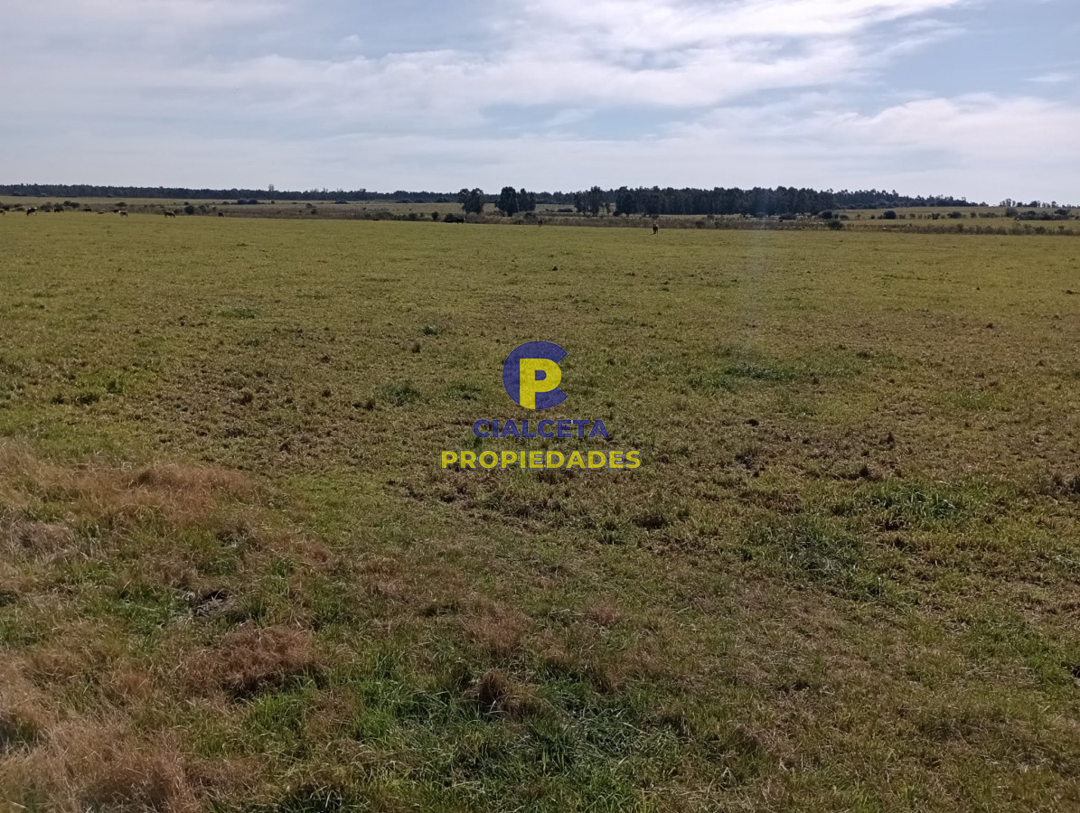 5 hectáreas en Maldonado - GoPunta - Portal Inmobiliario de Punta del Este - Maldonado