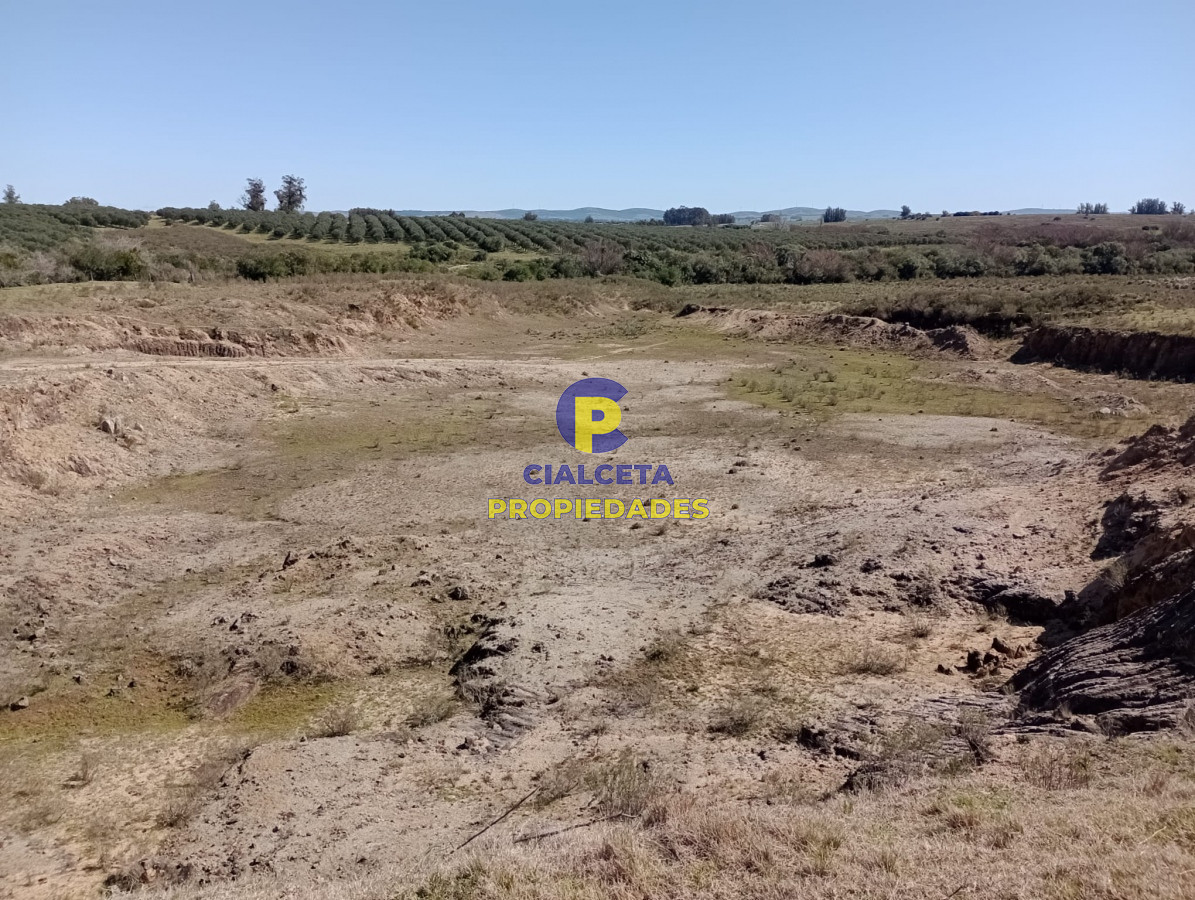 16 hectáreas en Maldonado - GoPunta - Portal Inmobiliario de Punta del Este - Maldonado