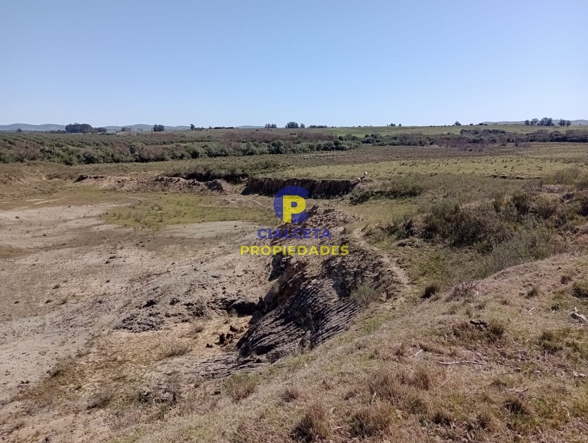 16 hectáreas en Maldonado - GoPunta - Portal Inmobiliario de Punta del Este - Maldonado