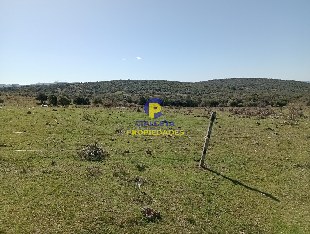 2957 hectáreas en Cerro Largo - GoPunta - Portal Inmobiliario de Punta del Este - Maldonado