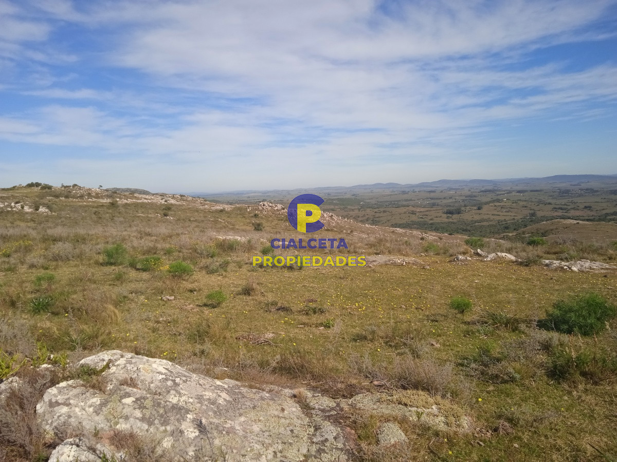 5 hectáreas en las Cañas - GoPunta - Portal Inmobiliario de Punta del Este - Maldonado