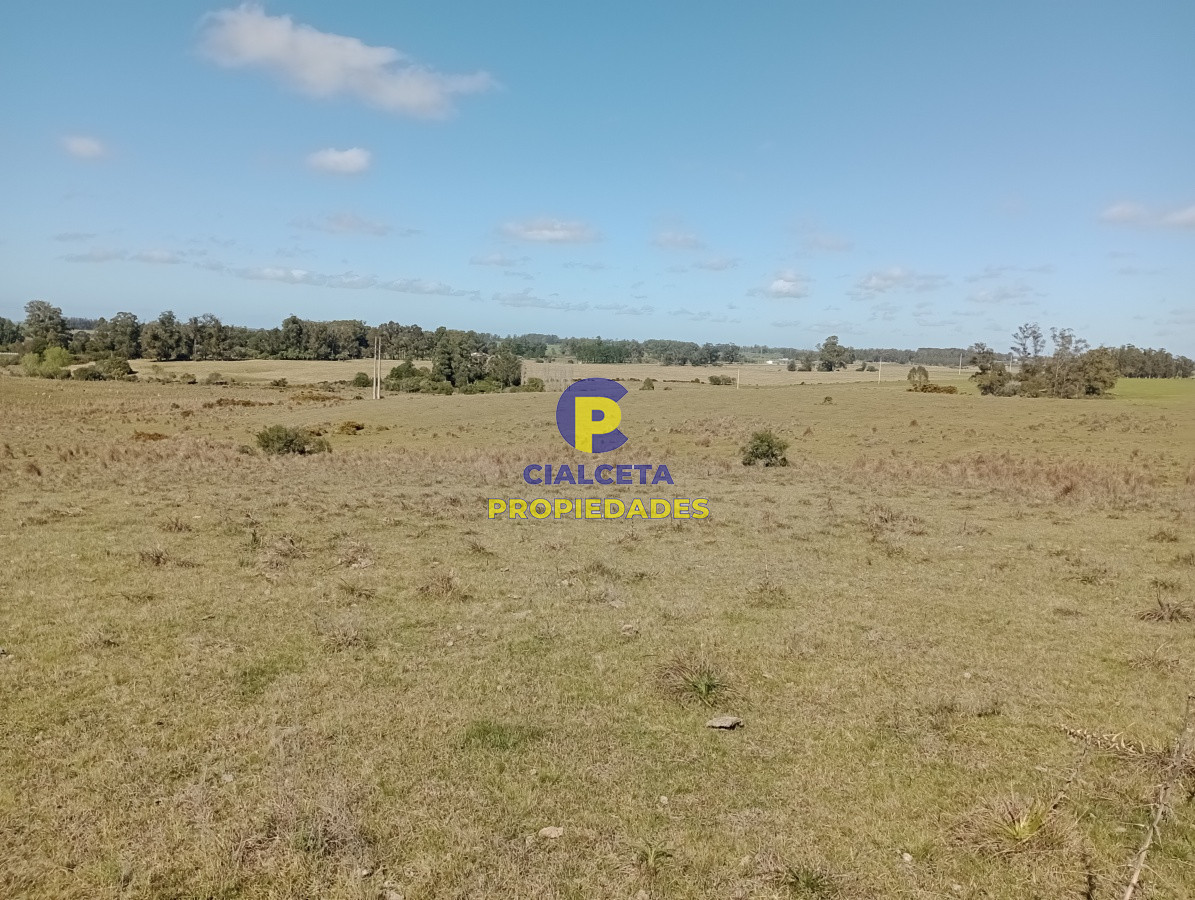 125 hectáreas en Rocha - GoPunta - Portal Inmobiliario de Punta del Este - Maldonado