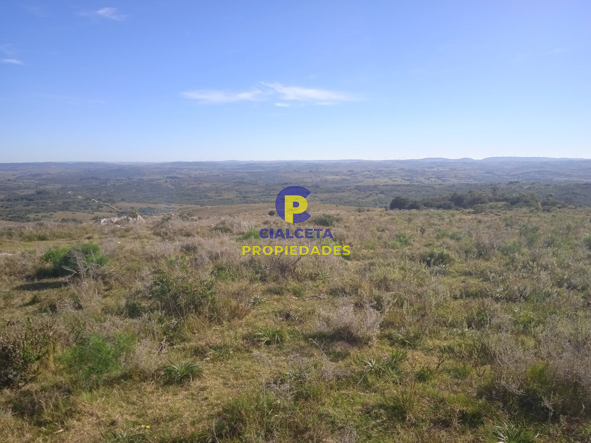 5 hectáreas en las Cañas - GoPunta - Portal Inmobiliario de Punta del Este - Maldonado