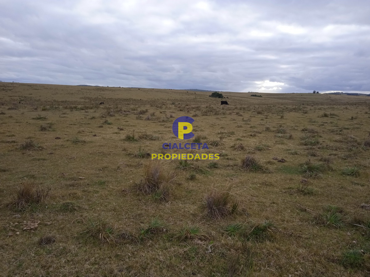 60 hectáreas en Garzón - GoPunta - Portal Inmobiliario de Punta del Este - Maldonado