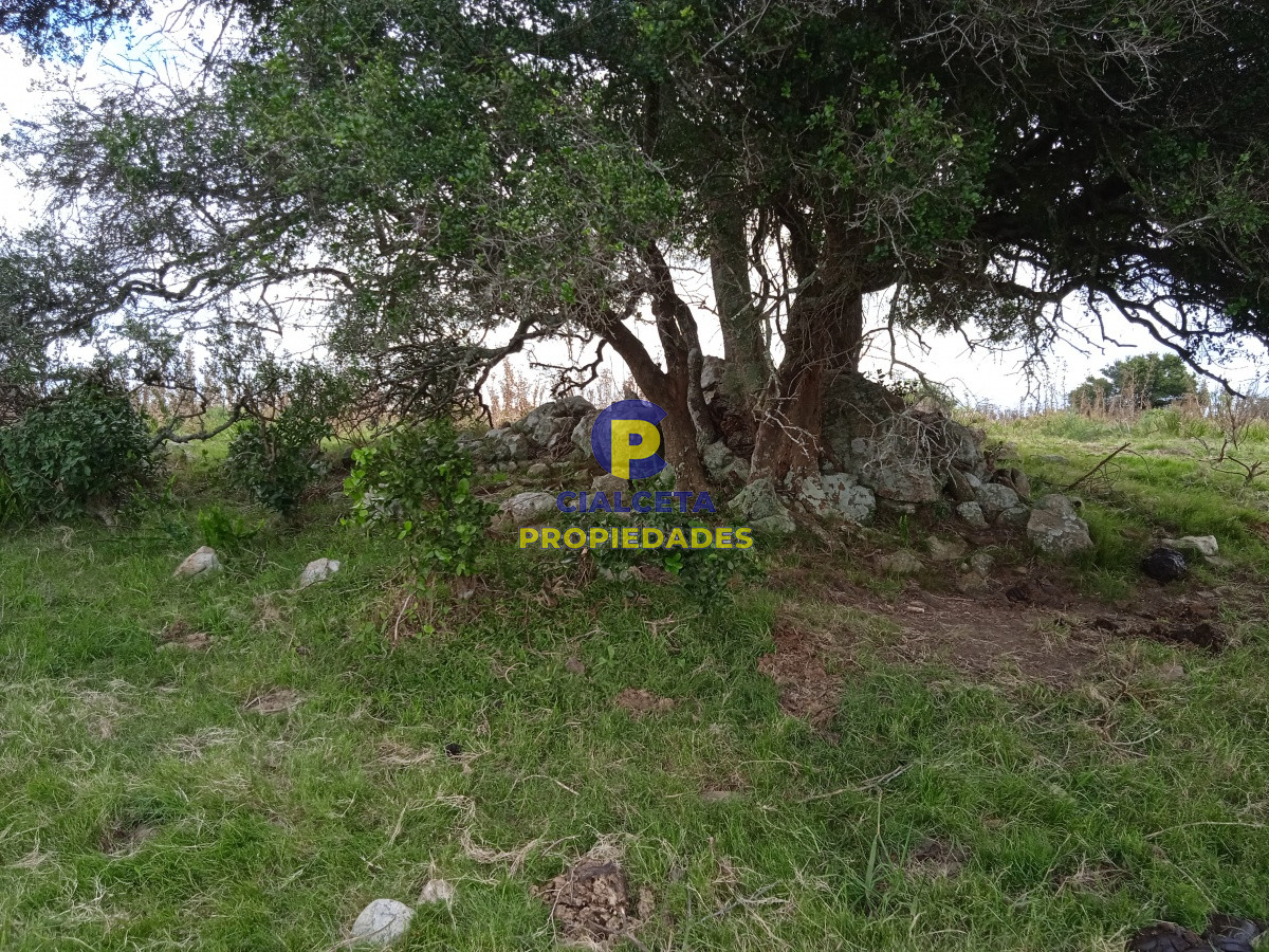 29 hectáreas en maldonado - GoPunta - Portal Inmobiliario de Punta del Este - Maldonado