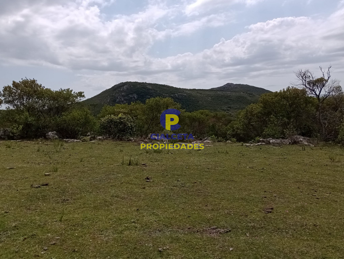 55 hectáreas en Maldonado - GoPunta - Portal Inmobiliario de Punta del Este - Maldonado