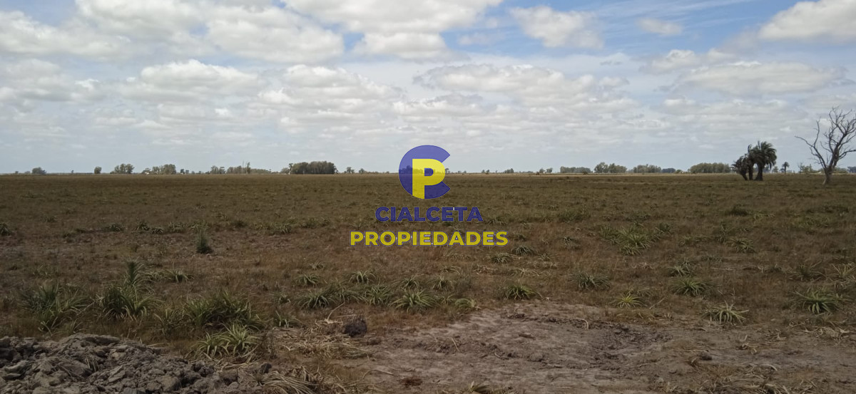 643 hectáreas en 33 - GoPunta - Portal Inmobiliario de Punta del Este - Maldonado