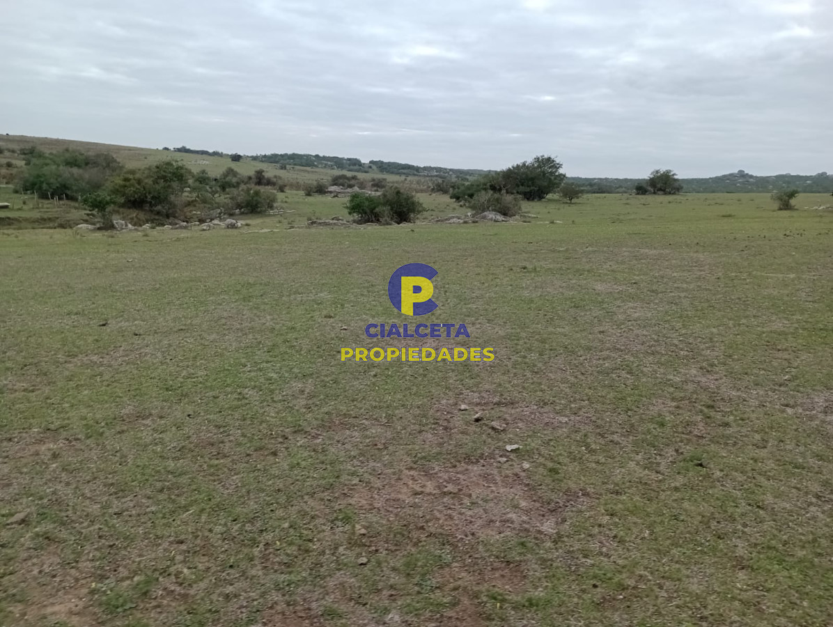 664 hectáreas en Colonia - GoPunta - Portal Inmobiliario de Punta del Este - Maldonado
