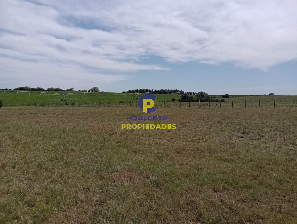 22 hectáreas con hermosa vista a las sierras - GoPunta - Portal Inmobiliario de Punta del Este - Maldonado