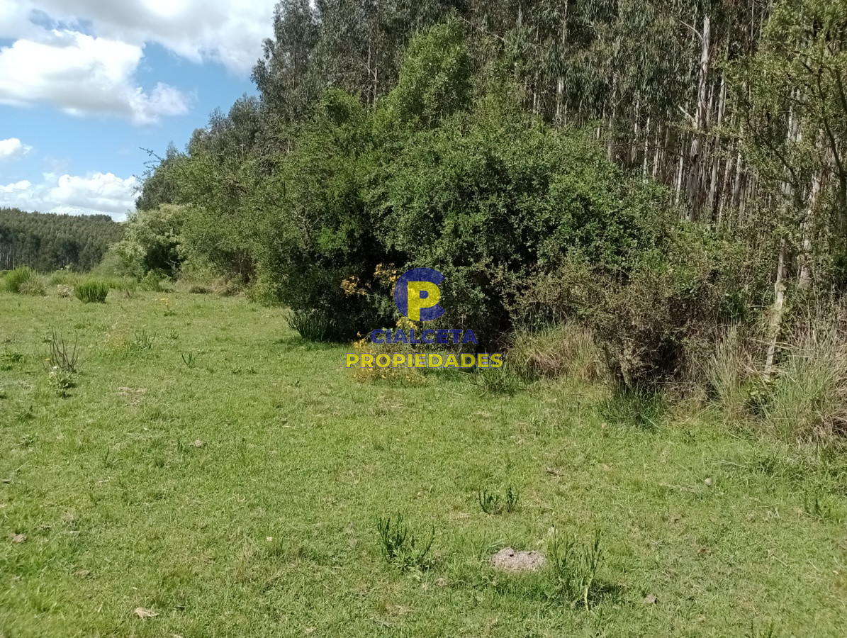 98 hectáreas en Maldonado - GoPunta - Portal Inmobiliario de Punta del Este - Maldonado
