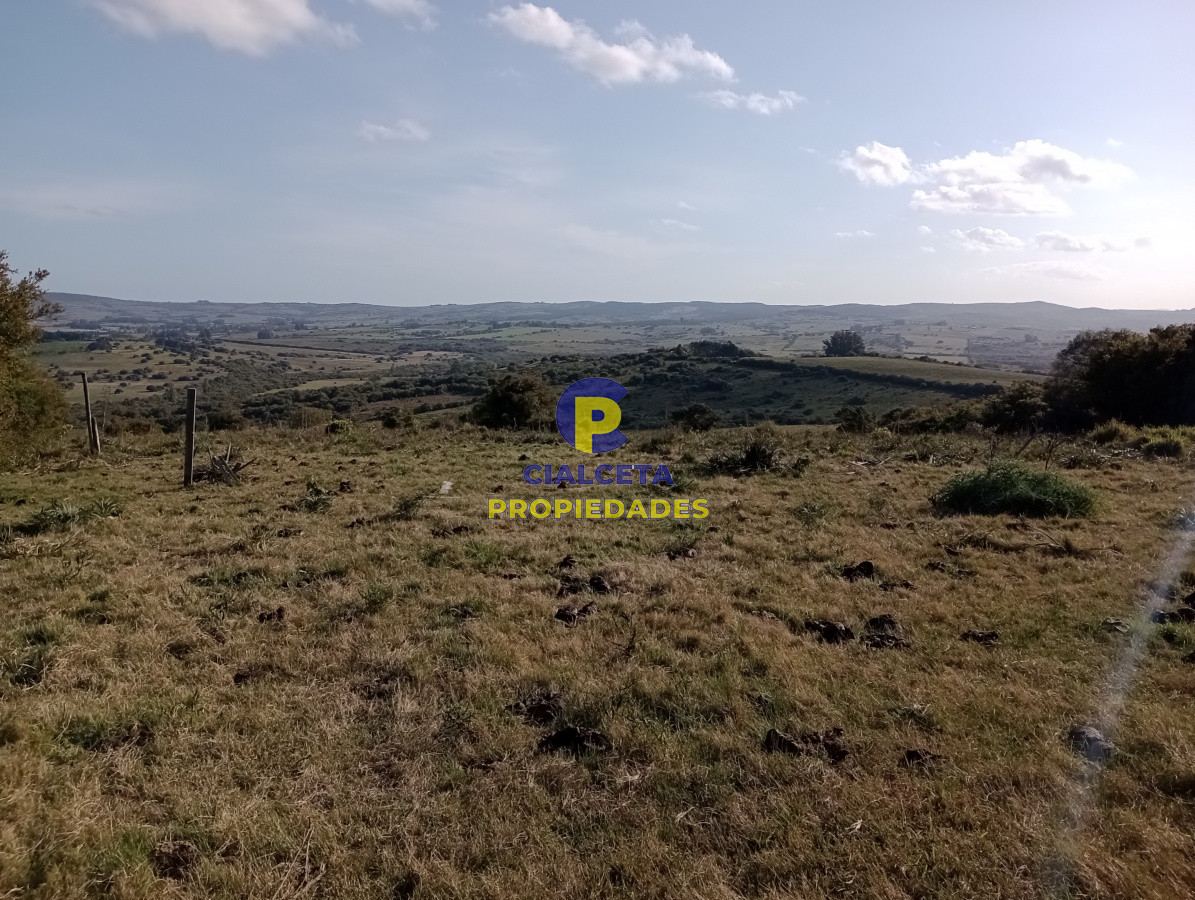 5 hectáreas en Maldonado - GoPunta - Portal Inmobiliario de Punta del Este - Maldonado
