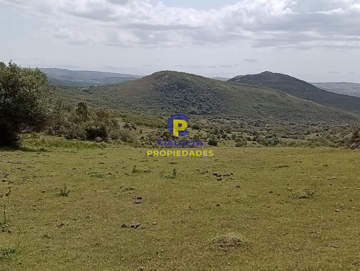 55 hectáreas en Maldonado - GoPunta - Portal Inmobiliario de Punta del Este - Maldonado