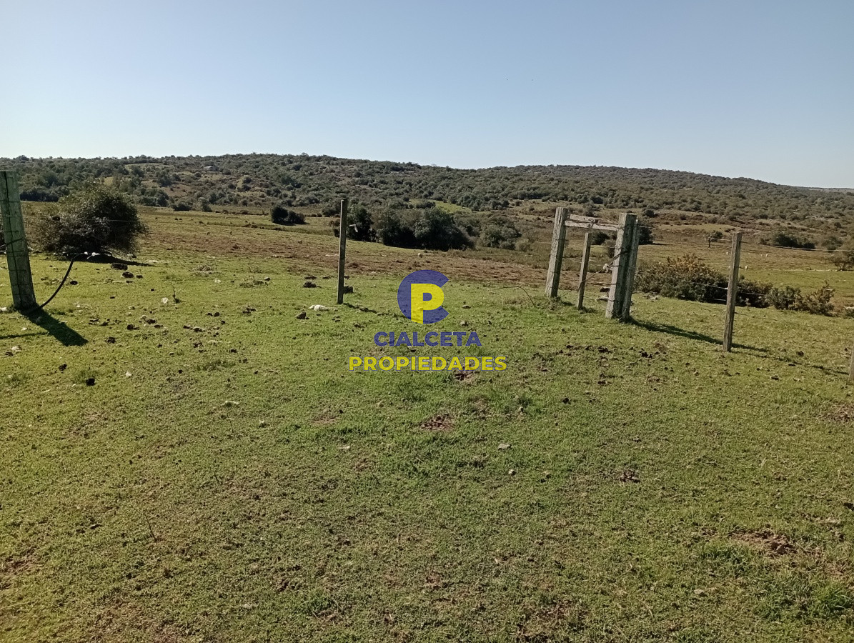 2957 hectáreas en Cerro Largo - GoPunta - Portal Inmobiliario de Punta del Este - Maldonado