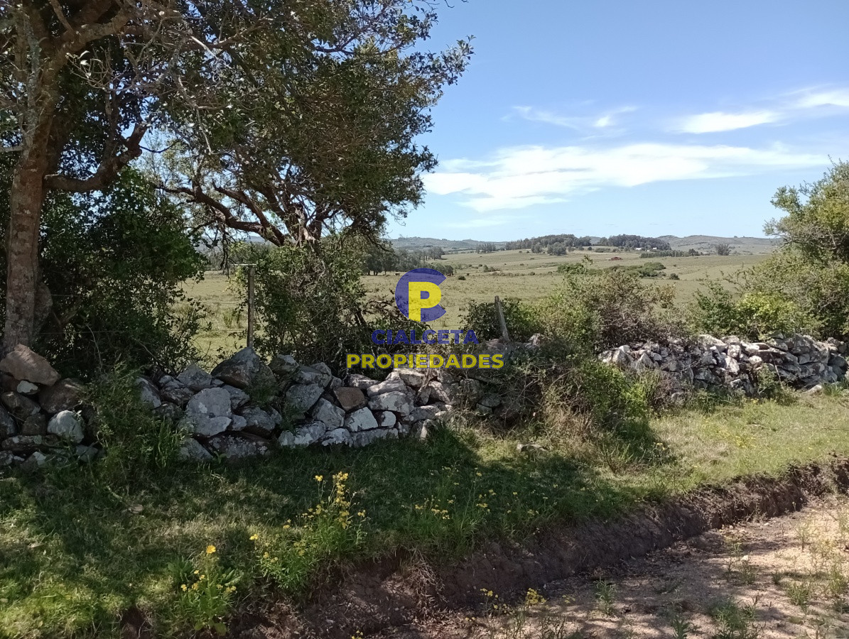 5 hectáreas en Pueblo Edén - GoPunta - Portal Inmobiliario de Punta del Este - Maldonado