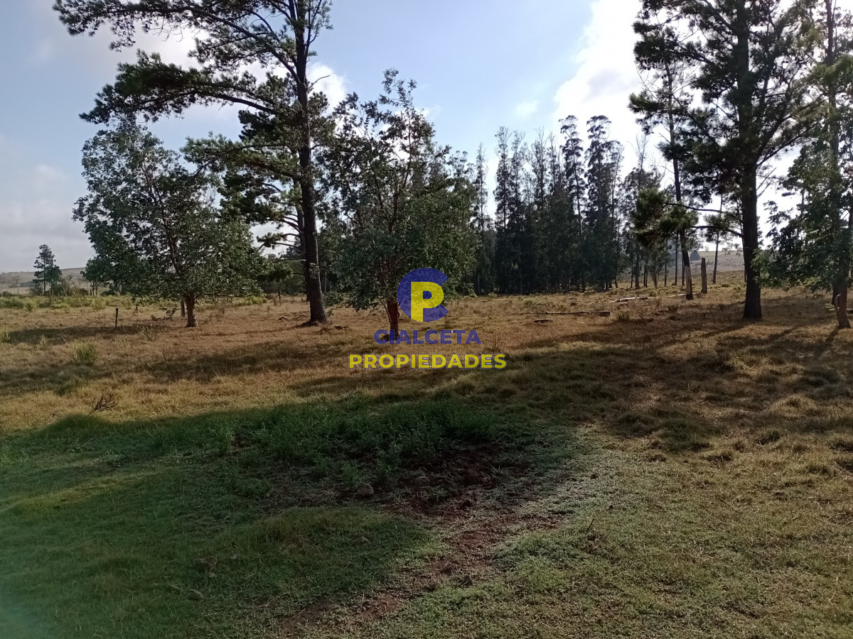 94 hectáreas en Maldonado - GoPunta - Portal Inmobiliario de Punta del Este - Maldonado