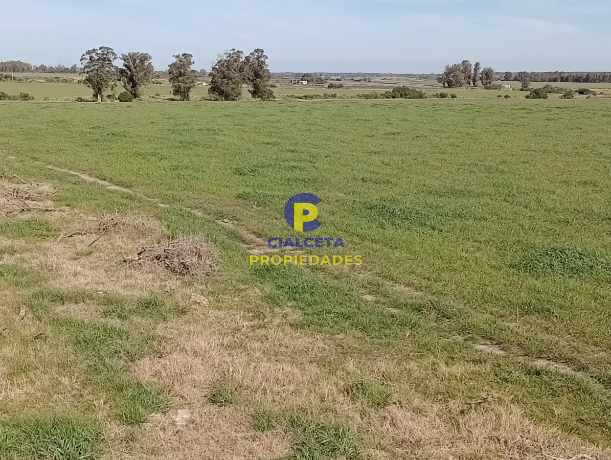 5 hectáreas en Maldonado - GoPunta - Portal Inmobiliario de Punta del Este - Maldonado