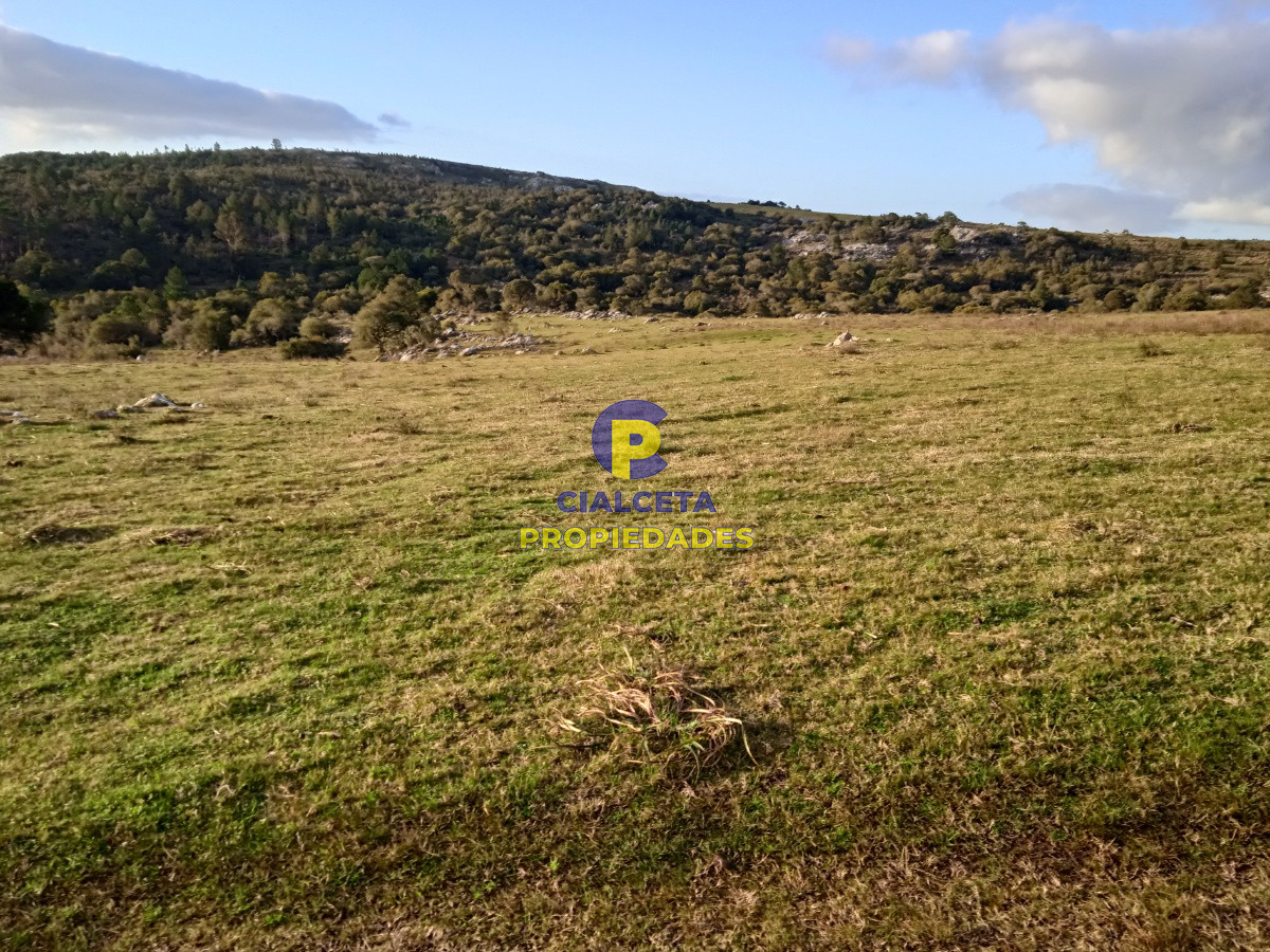 20 hectáreas con tapera, cañada y monte nativo - GoPunta - Portal Inmobiliario de Punta del Este - Maldonado