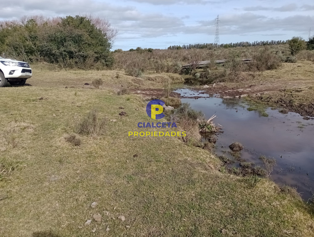 21 hectáreas con 8.366 metros en Canelones - GoPunta - Portal Inmobiliario de Punta del Este - Maldonado