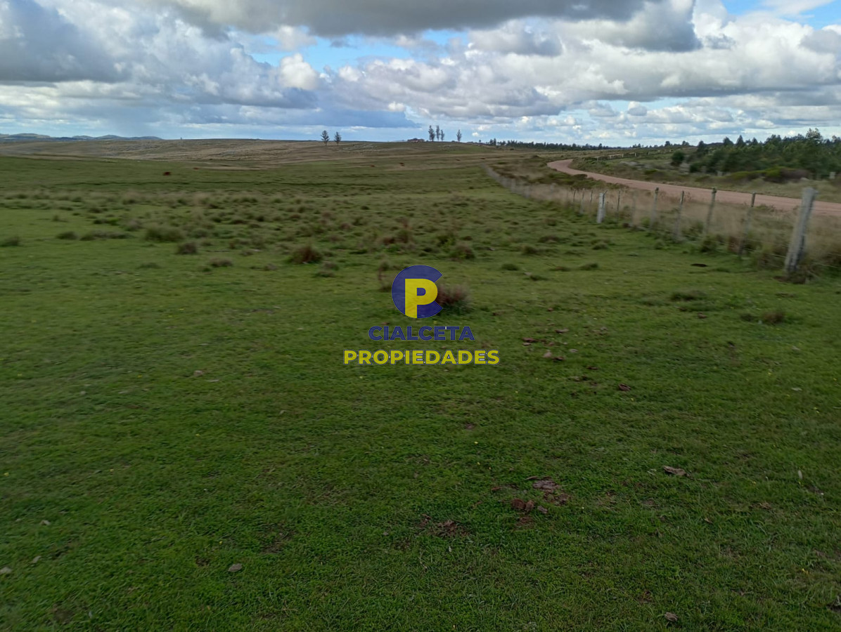140 hectáreas en Lavalleja - GoPunta - Portal Inmobiliario de Punta del Este - Maldonado