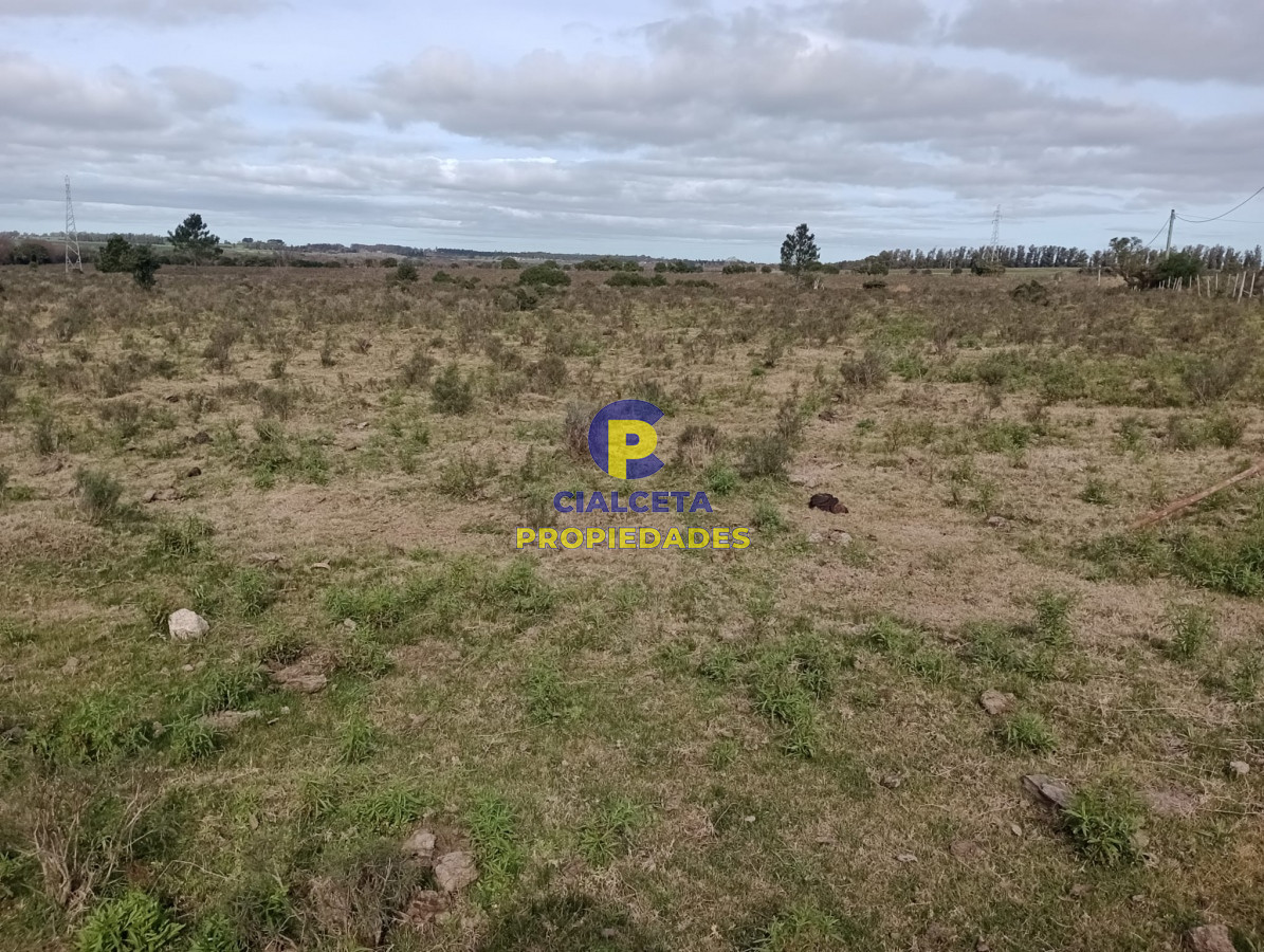 21 hectáreas con 8.366 metros en Canelones - GoPunta - Portal Inmobiliario de Punta del Este - Maldonado