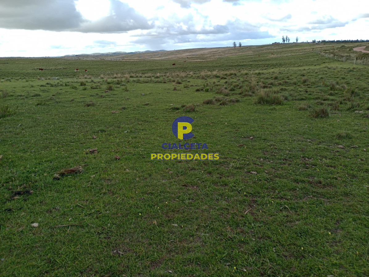 140 hectáreas en Lavalleja - GoPunta - Portal Inmobiliario de Punta del Este - Maldonado