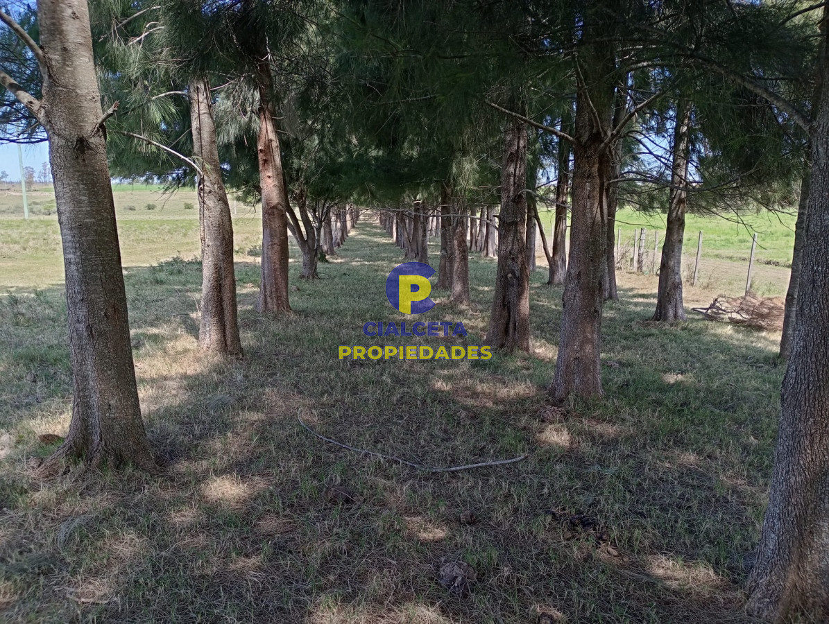 22 hectáreas con hermosa vista a las sierras - GoPunta - Portal Inmobiliario de Punta del Este - Maldonado