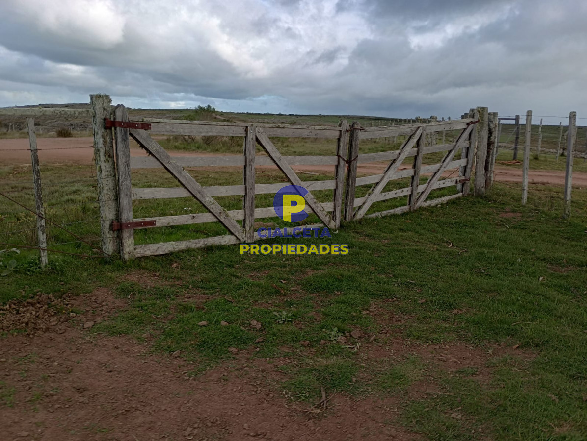 140 hectáreas en Lavalleja - GoPunta - Portal Inmobiliario de Punta del Este - Maldonado