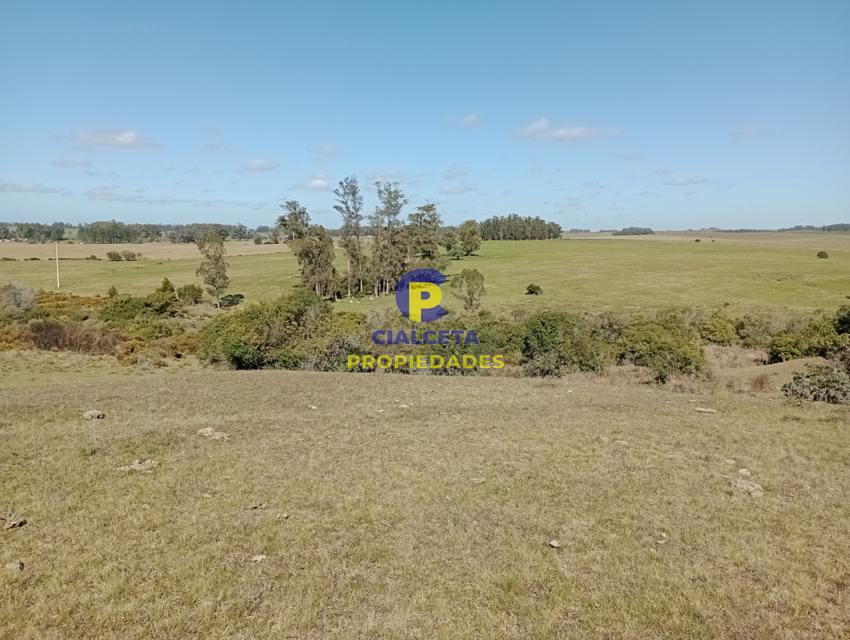 125 hectáreas en Rocha - GoPunta - Portal Inmobiliario de Punta del Este - Maldonado