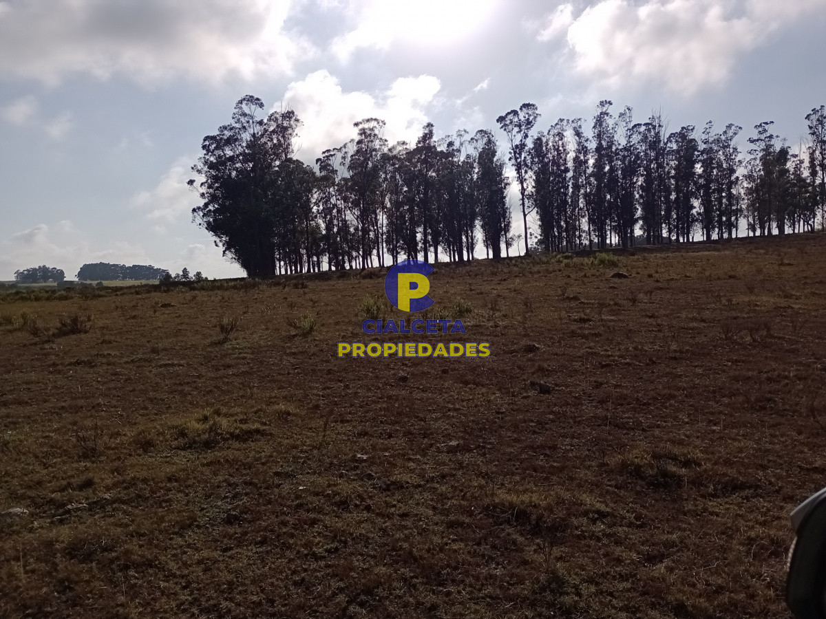 94 hectáreas en Maldonado - GoPunta - Portal Inmobiliario de Punta del Este - Maldonado