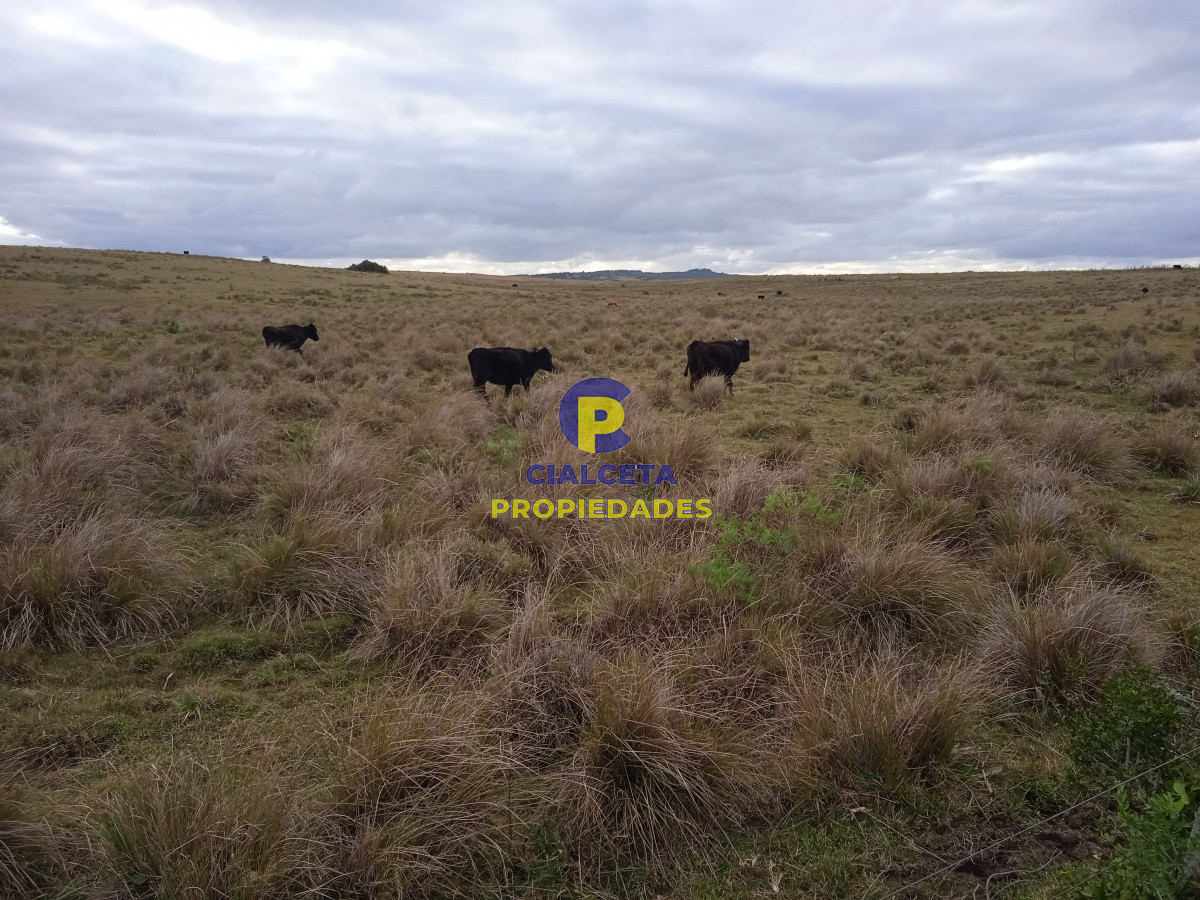 60 hectáreas en Garzón - GoPunta - Portal Inmobiliario de Punta del Este - Maldonado