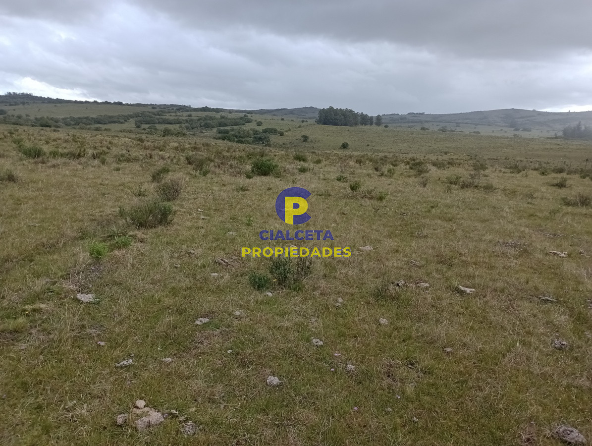 5 hectáreas en Maldonado, Pueblo Edén - GoPunta - Portal Inmobiliario de Punta del Este - Maldonado