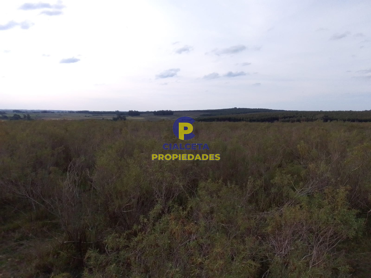 33 hectáreas en Lavalleja - GoPunta - Portal Inmobiliario de Punta del Este - Maldonado