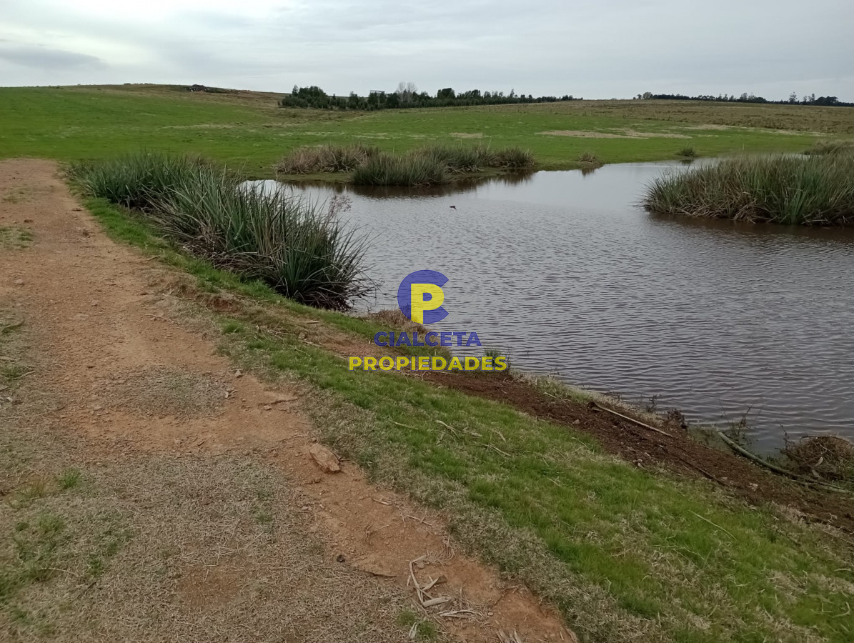 15 hectáreas en Maldonado - GoPunta - Portal Inmobiliario de Punta del Este - Maldonado