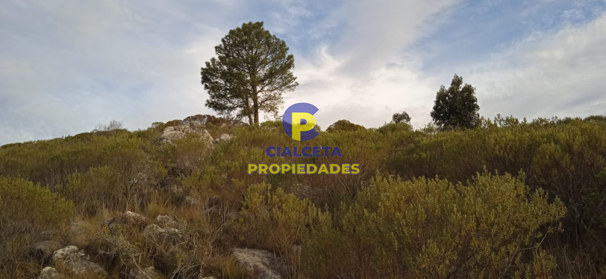 5 hectáreas, entrega 8.000 U$S y cuotas de 593 U$S - GoPunta - Portal Inmobiliario de Punta del Este - Maldonado