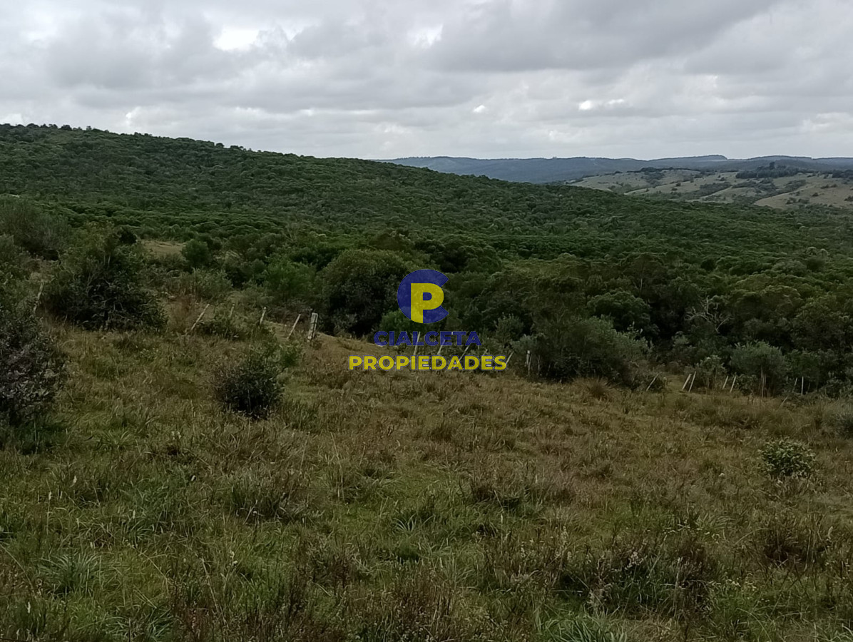 48 hectáreas con 8 mil metros en Garzón - GoPunta - Portal Inmobiliario de Punta del Este - Maldonado