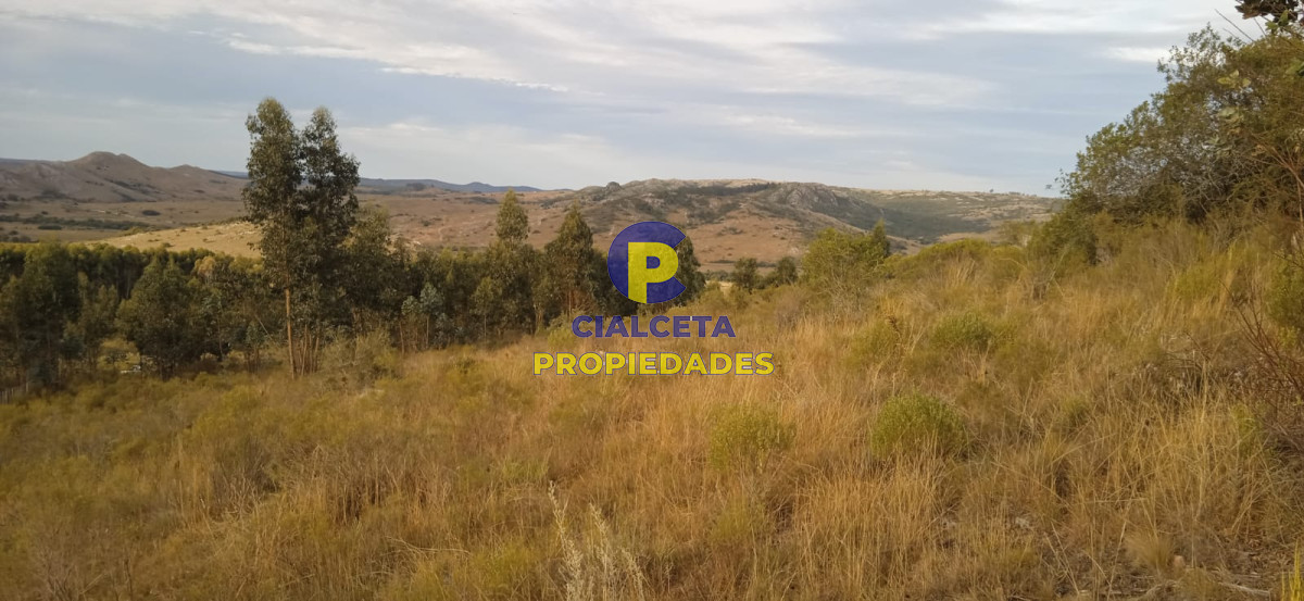 5 hectáreas, entrega 8.000 U$S y cuotas de 593 U$S - GoPunta - Portal Inmobiliario de Punta del Este - Maldonado