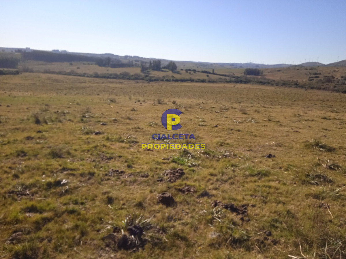 60 hectáreas en Carapé - GoPunta - Portal Inmobiliario de Punta del Este - Maldonado