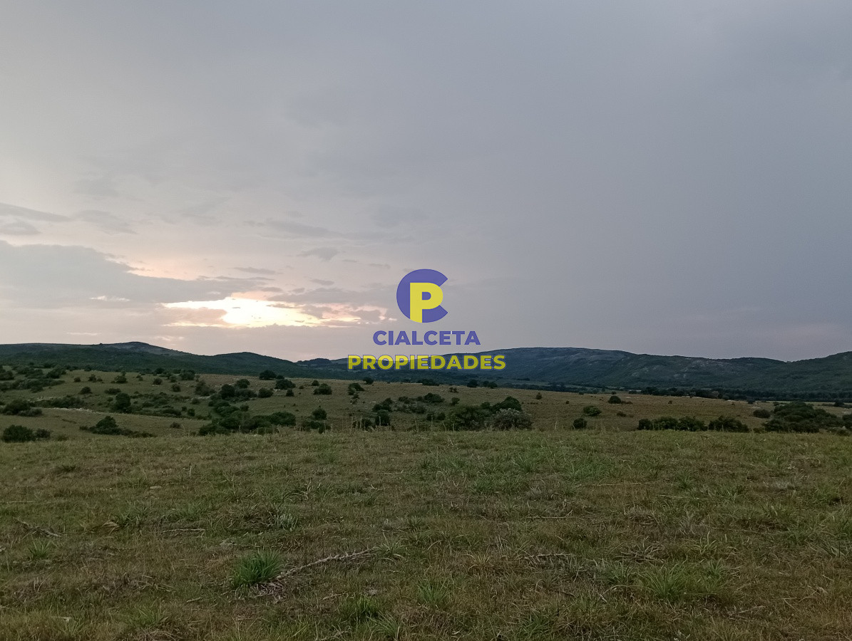 Chacras de 5 hectáreas - GoPunta - Portal Inmobiliario de Punta del Este - Maldonado
