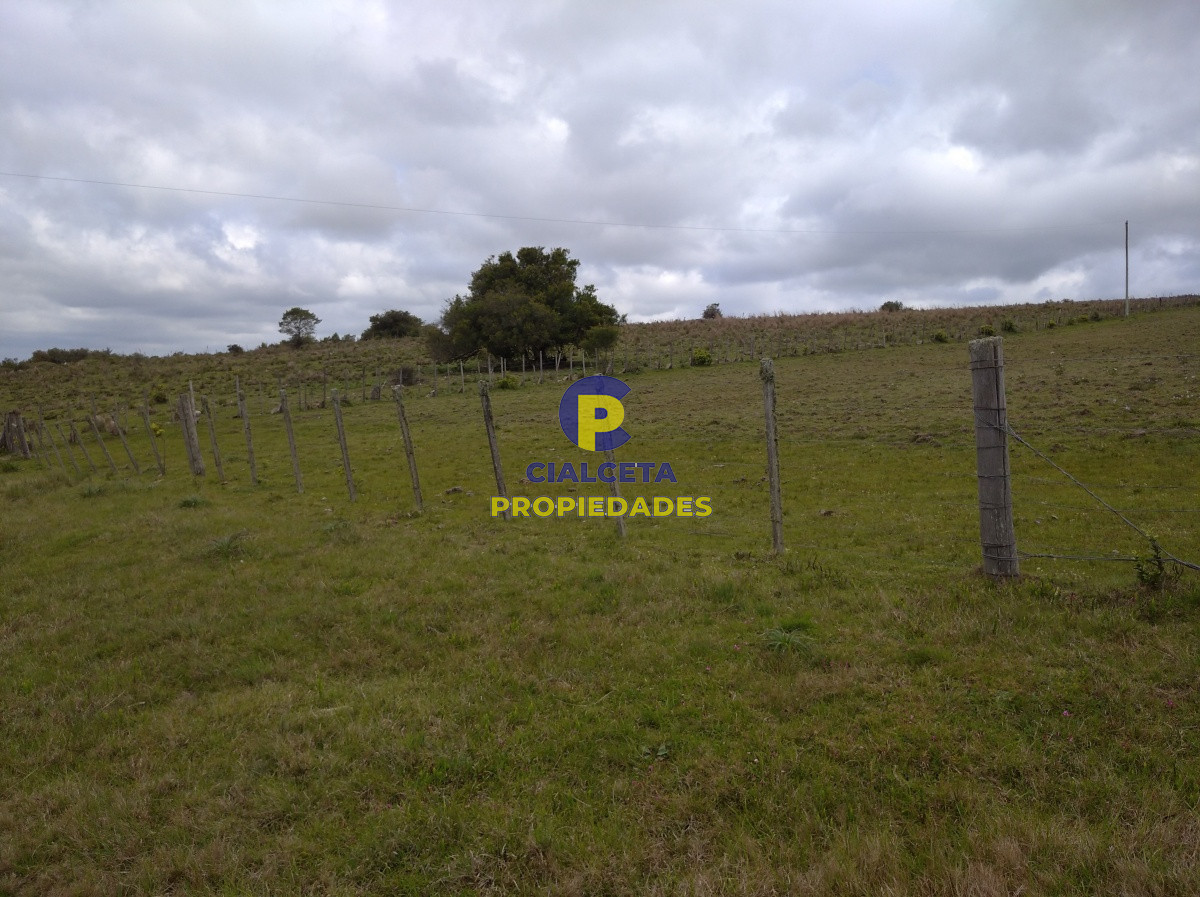 267 hectáreas en Maldonado - GoPunta - Portal Inmobiliario de Punta del Este - Maldonado