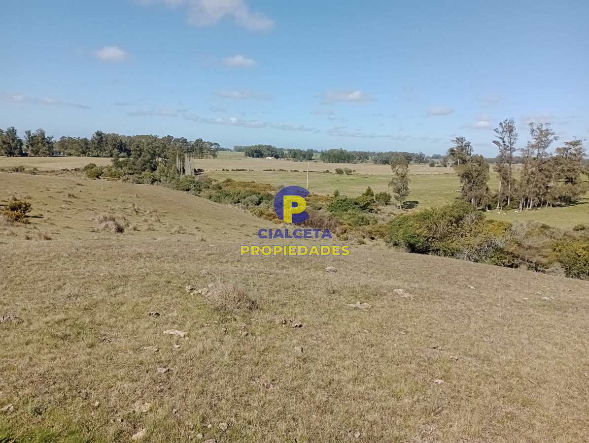 125 hectáreas en Rocha - GoPunta - Portal Inmobiliario de Punta del Este - Maldonado